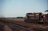 114689: Donnybrook Loop Down Goods T 407
