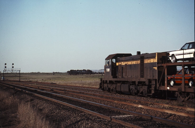 114689: Donnybrook Loop Down Goods T 407