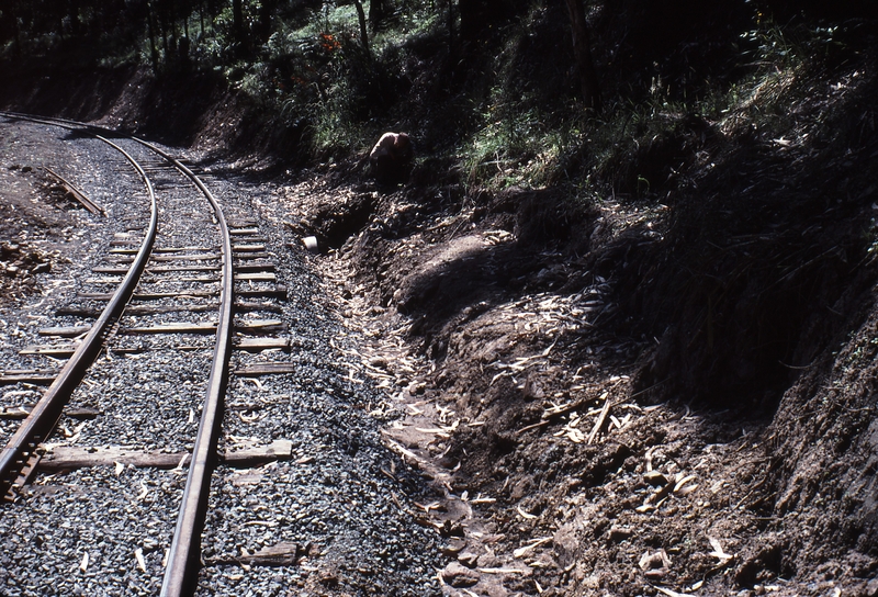 114877: Curve 16 Deviated Track Looking West