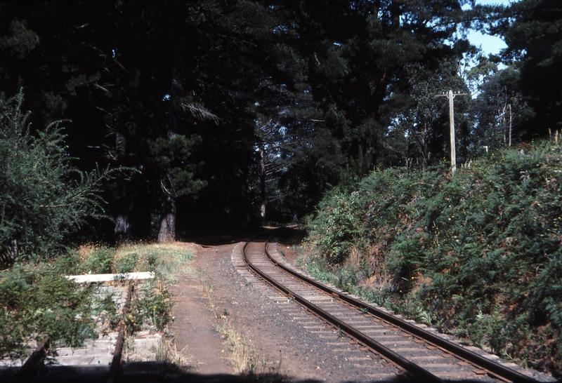 114881: Nobelius Siding Looking East