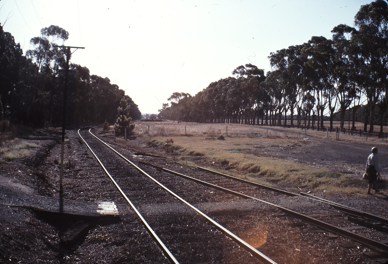 114949: Northfield Looking towards Dry Creek