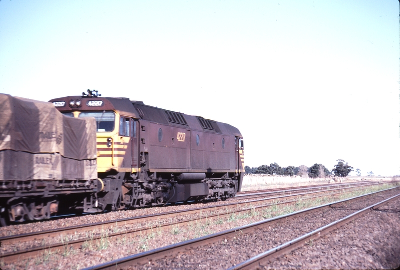 114994: Donnybrook Loop Up Goods 42217