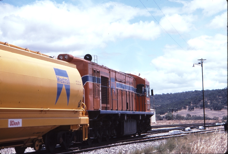 115143: West Toodyay Up NG Wheat RA 1909