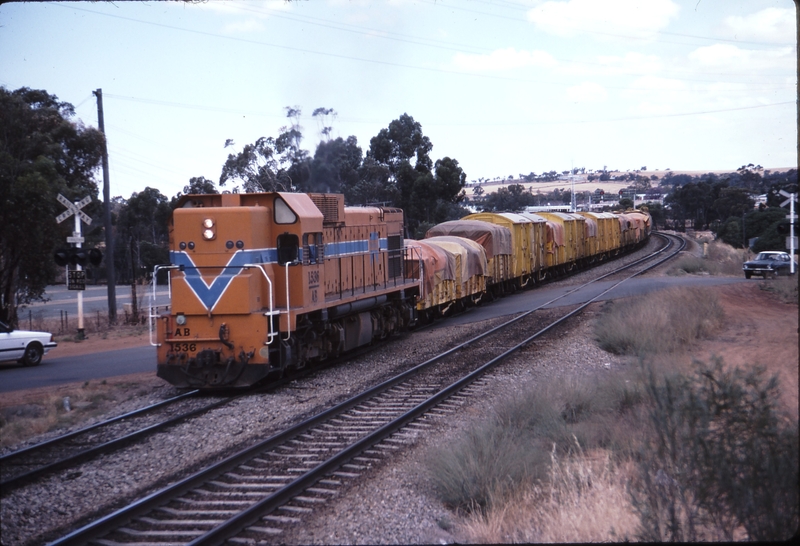 115145: Northam 2 up side Up NG Wheat AB1536