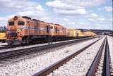 115155: West Toodyay Up Wheat Empty XA 1415 XB 1017