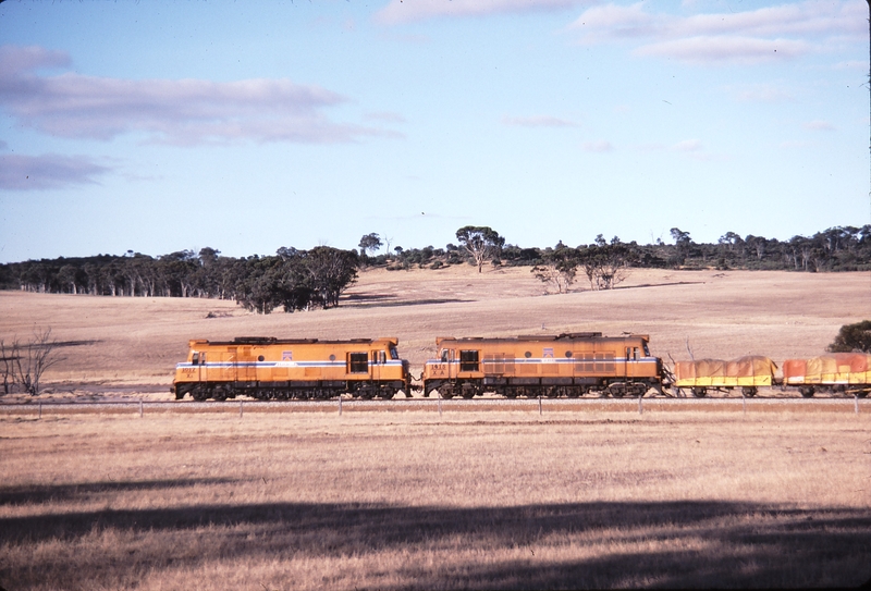 115175: Bolgart down side Down Wheat Empty XB 1017 XA 1415