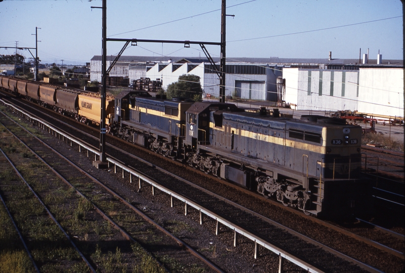 115238: Sunshine down side Bendigo Line Up Grain X 36 X 40