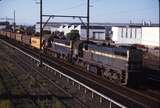 115238: Sunshine down side Bendigo Line Up Grain X 36 X 40