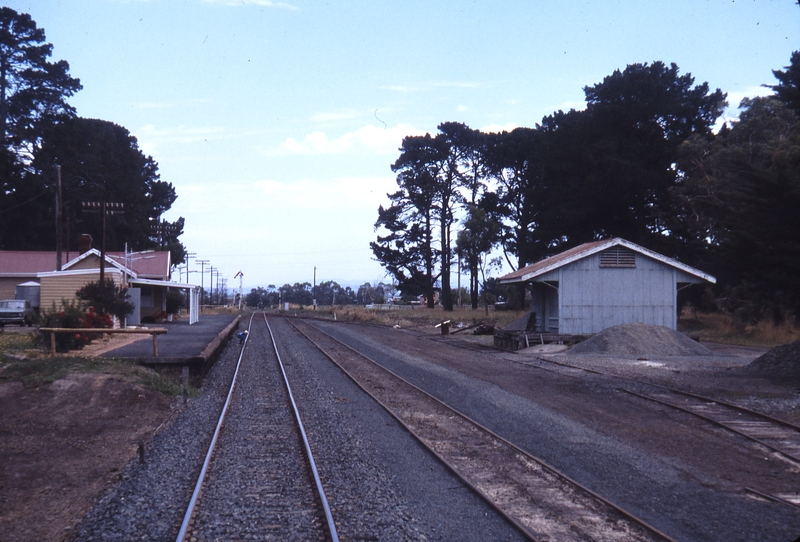 115247: Lang Lang Looking towards Melbourne