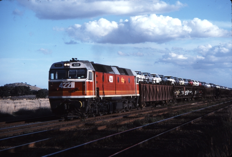 115424: Donnybrook Loop Down Goods 42211