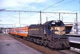115466: North Melbourne 8231 Down Geelong Passenger X 33
