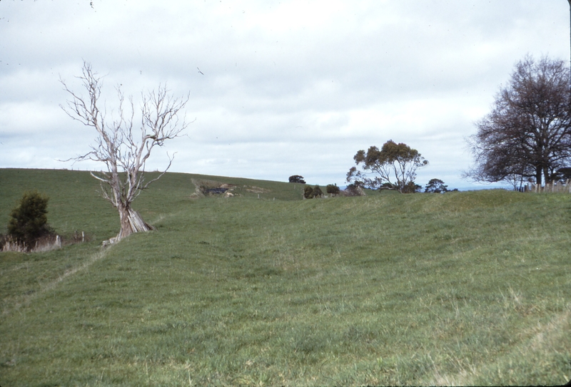 115502: Strezlecki Mine Terminal Looking towards End of Track away from Korumburra