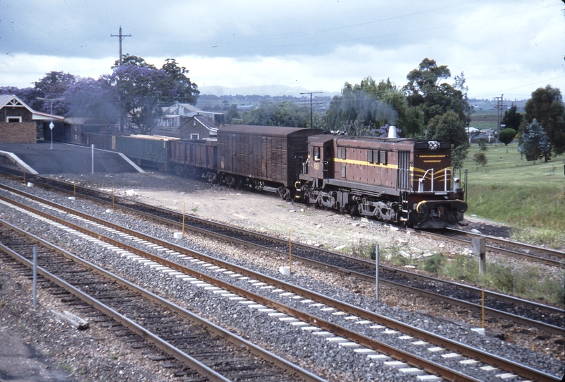 115560: East Maitland Up Goods 4850