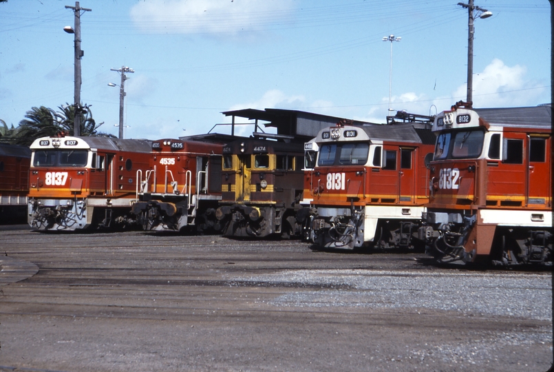 115610: Broadmeadow Locomotive Depot 8137 4535 4474 8131 8132