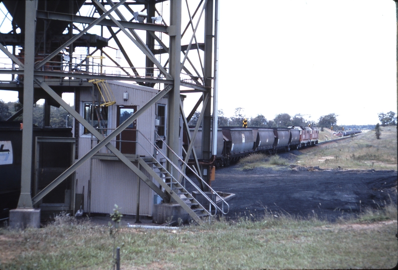 115622: Mount Thorley Coal Train 8165 8105