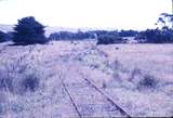 115679: Woolamai Looking towards Wonthaggi