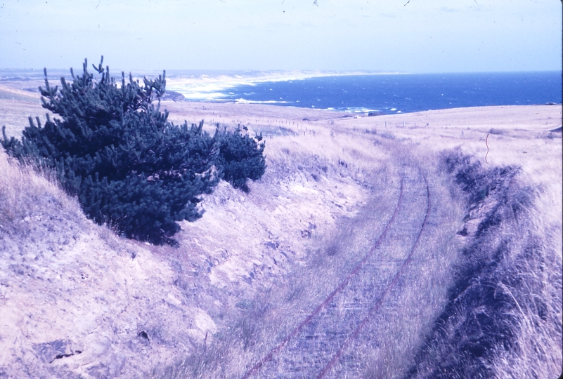 115684: Mile 77.5 Wonthaggi Line Looking towards Wonthaggi