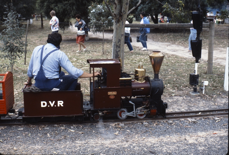 115716: Diamond Valley Railway Eltham Helga 0-4-2