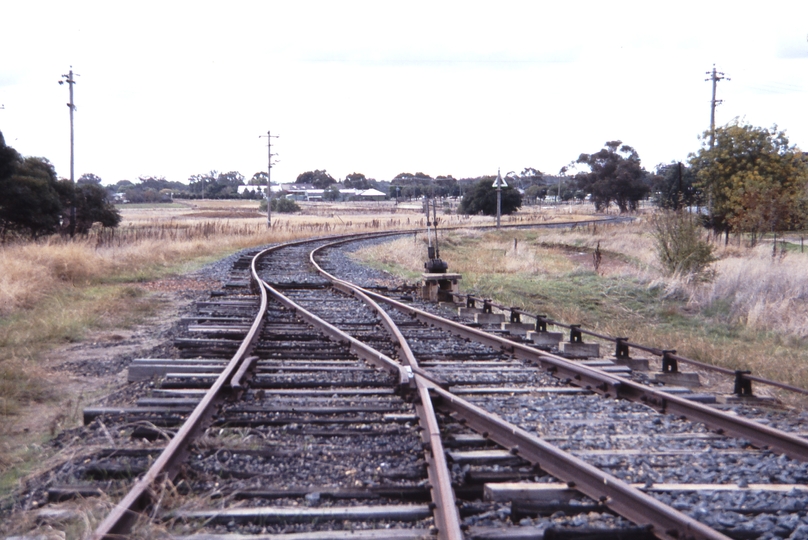 115766: Corowa Flourmill Siding Looking towards Culcairn