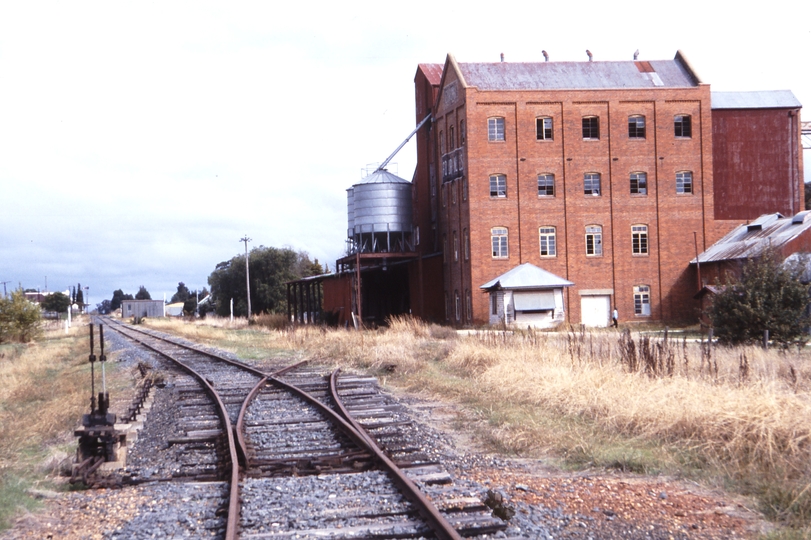 115767: Corowa Flourmill Siding Looking towards Corowa