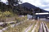 115924: Warburton Looking towards Lilydale