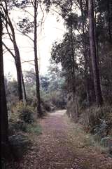 115942: Lakeside End of Track Looking towards Wright