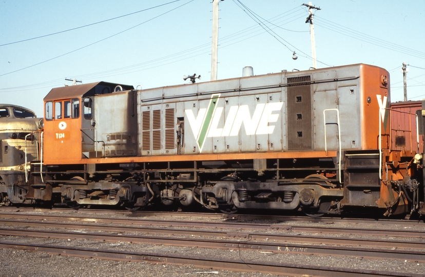 116071: North Melbourne Y 134