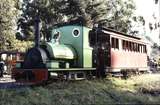 116113: Menzies Creek Local Passenger Peckett