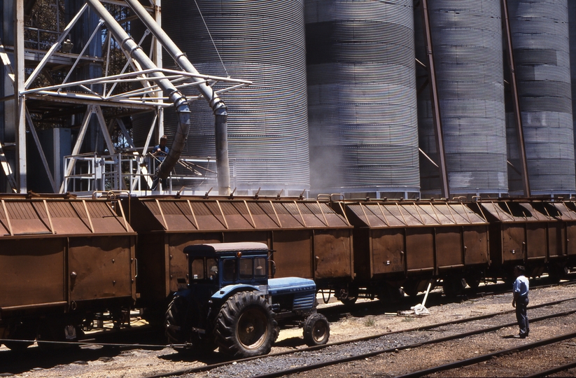 116310: St Arnaud Loading GH Wagons