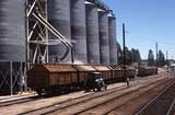 116312: St Arnaud Loading GH Wagons