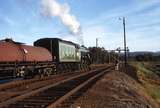 116717: Albury 8696 Up Special Passenger A3 4472 Flying Scotsman