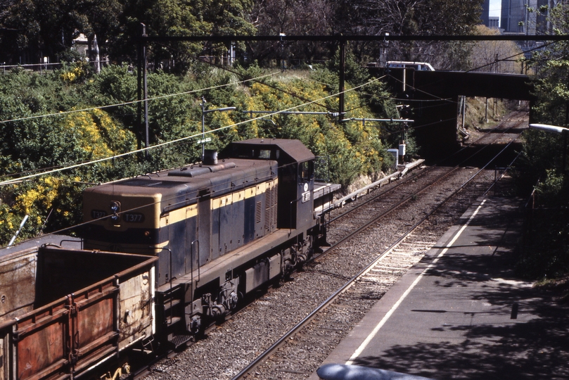 117075: Jolimont 9556 Up Goods from APM T 377