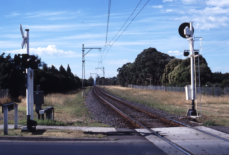 117163: Gowrie Box Forest Road Looking South