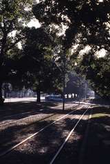 117195: Victoria Parade at Smith Street looking East