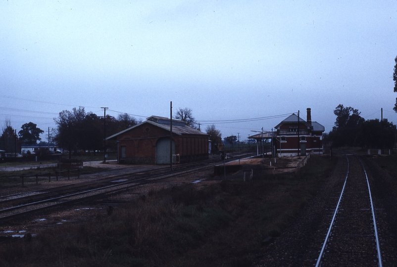 117246: Barnawartha Looking Towards Albury from Cab of Loco on Down Intercapital Daylight Express