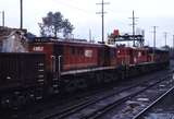 117249: Albury Down Freight 4466 4824 4852