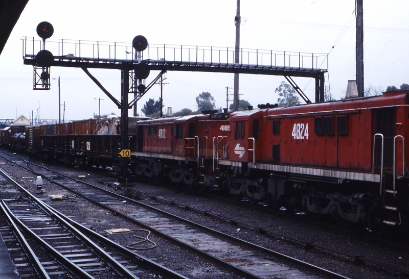 117250: Albury Down Freight 4466 4824 4852