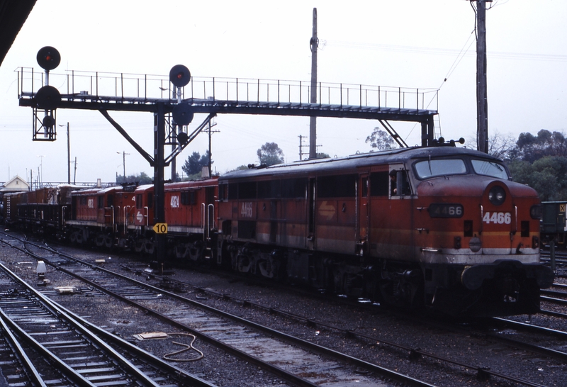 117251: Albury Down Freight 4466 4824 4852