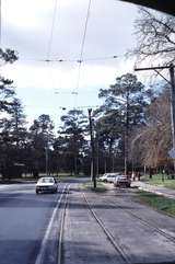 117342: Ballarat Tramway Museum Gardens Loop Looking North