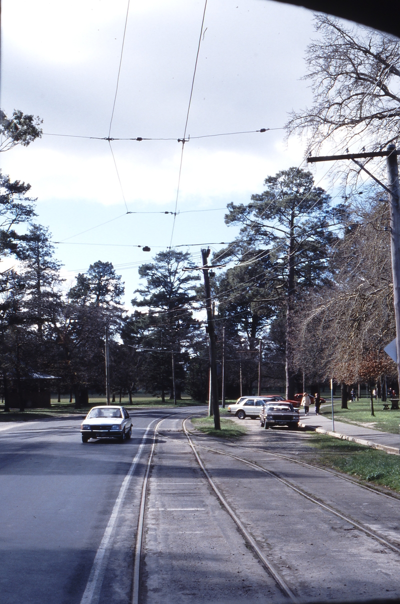 117342: Ballarat Tramway Museum Gardens Loop Looking North