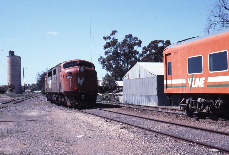 117368: Cobram A 60 running round