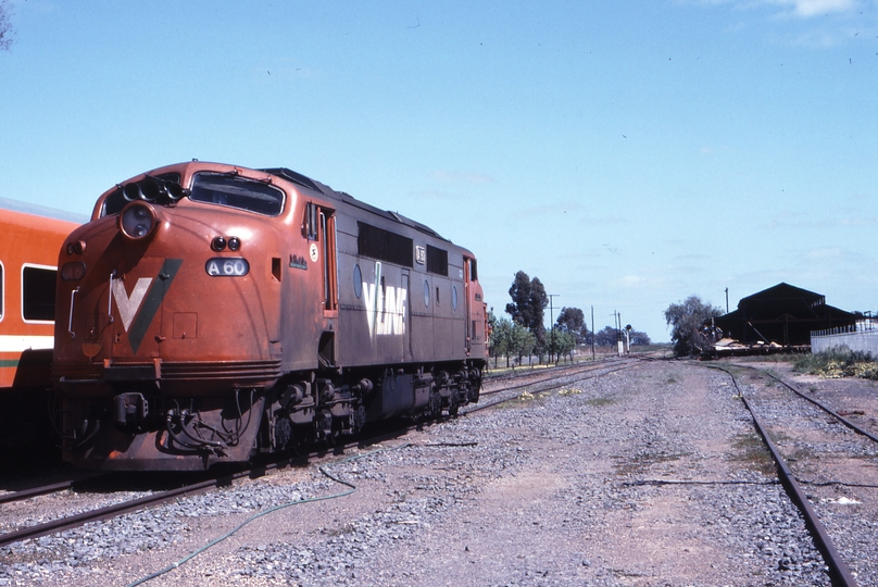 117369: Cobram A 60 running round