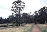 117439: Gembrook up side Looking Down from Down TP Curve 107R