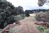 117442: Fielder Bridge Looking toward Gembrook