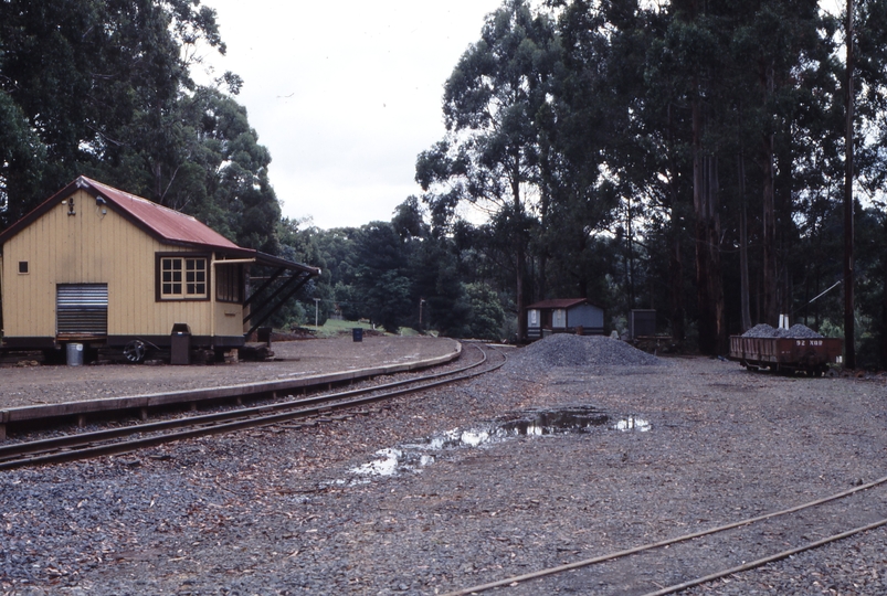 117447: Menzies Creek Looking towards Belgrave