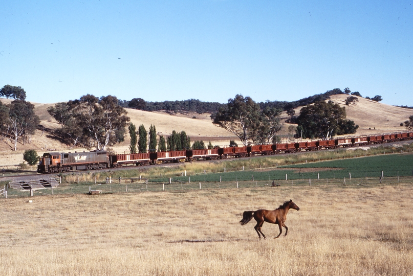 117478: Castlemaine - Guildford Godfrey Lane Level Crossing Up Sleeper Train X 31