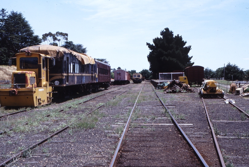 117482: Daylesford Malcolm Moore Locomotive