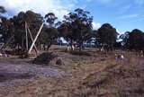 117545: Barwon Yard Crane Looking towards Forrest