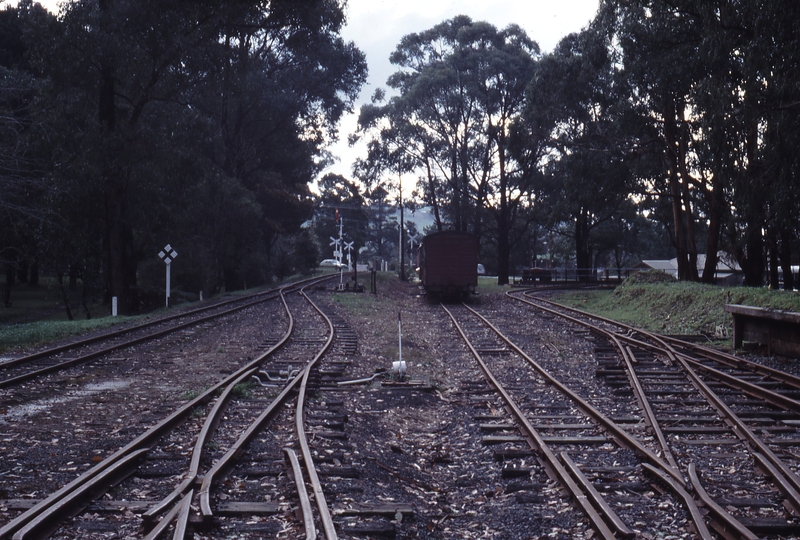 117568: Emerald Looking towards Belgrave