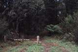 117572: Fielder Looking from Doonaha Road towards Gembrook